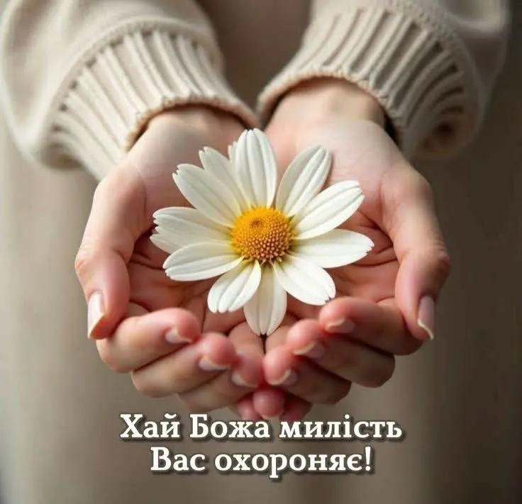 11015.jpg