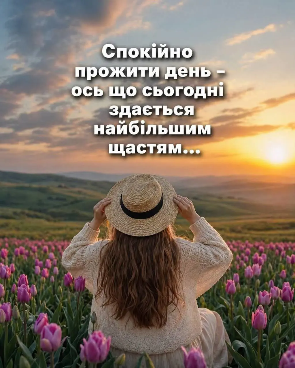 11110.jpg