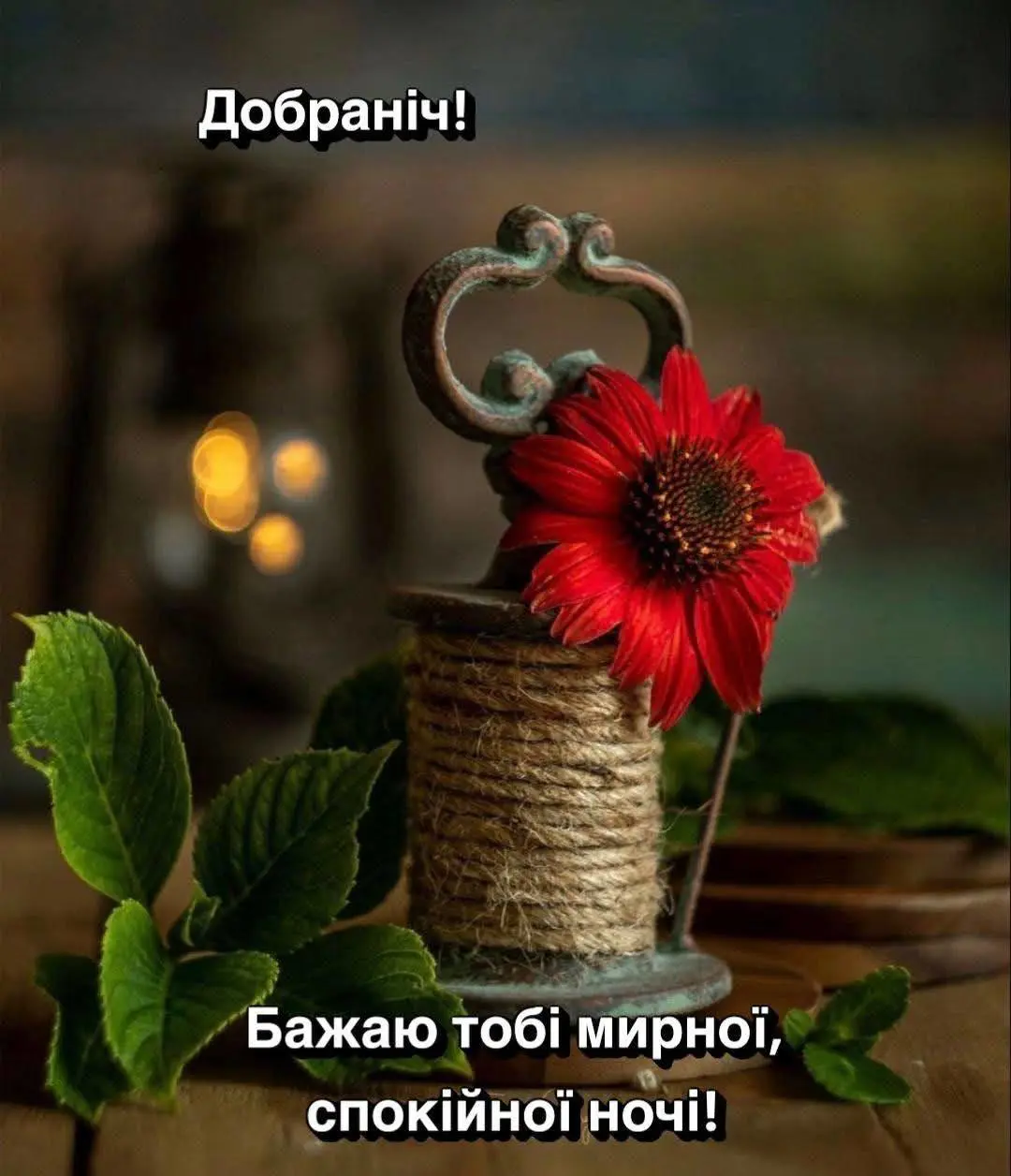 11159.jpg