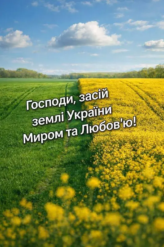 11429.jpg