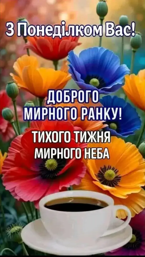 11481.jpg