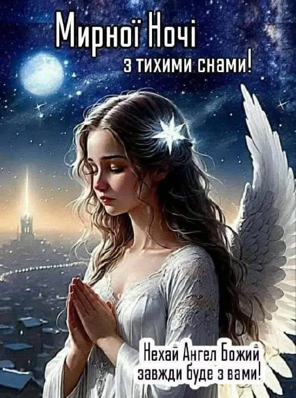 11510.jpg