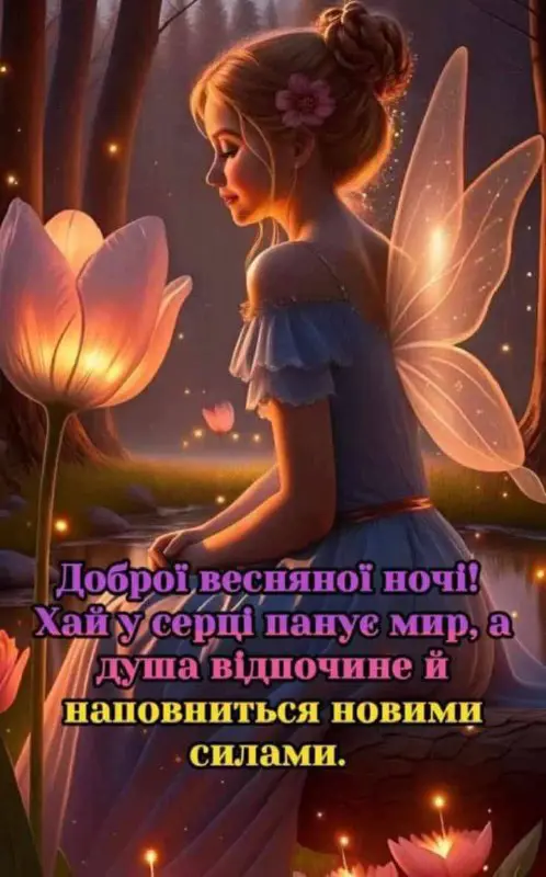 11609.jpg