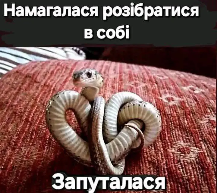 11860.jpg
