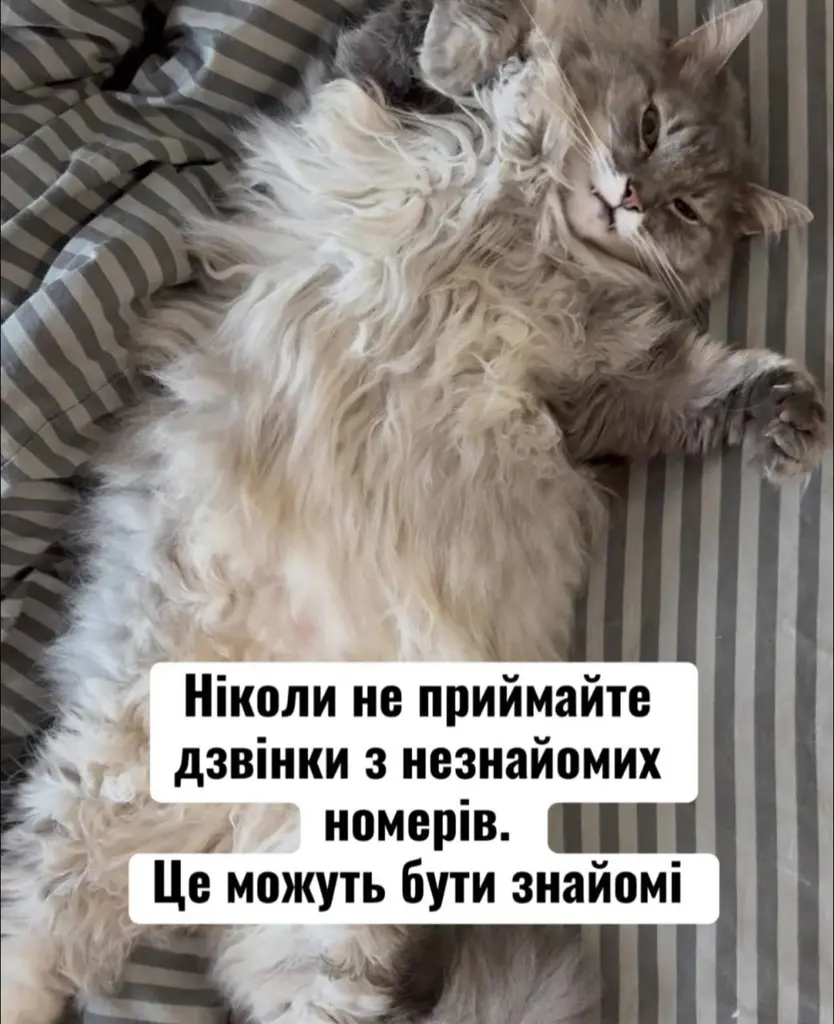 12021.jpg