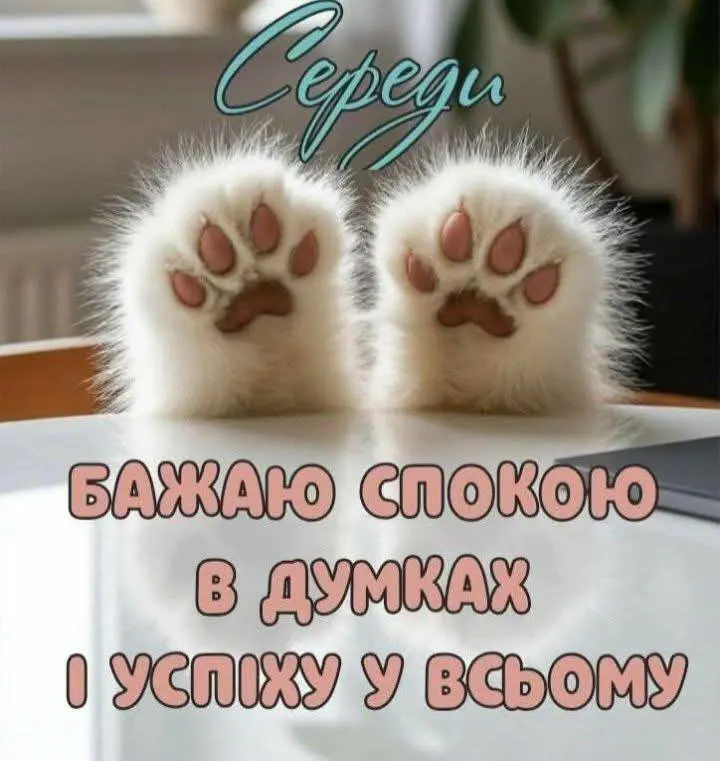12043.jpg