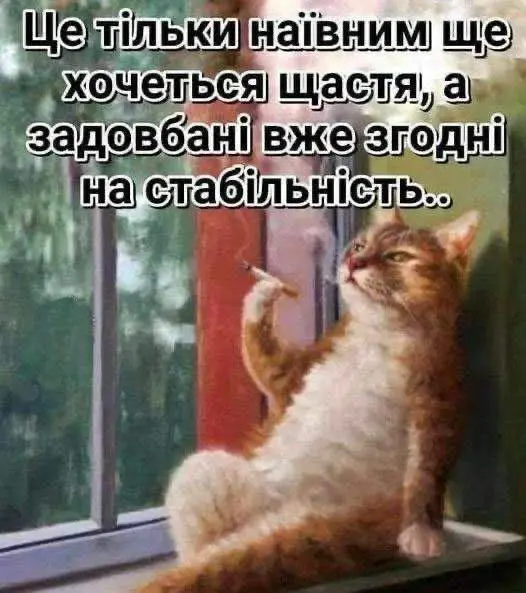 12052.jpg