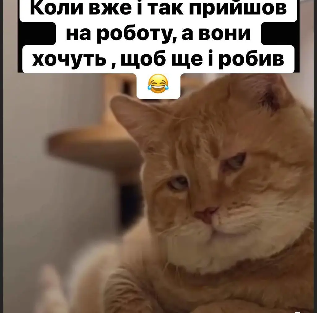 12304.jpg