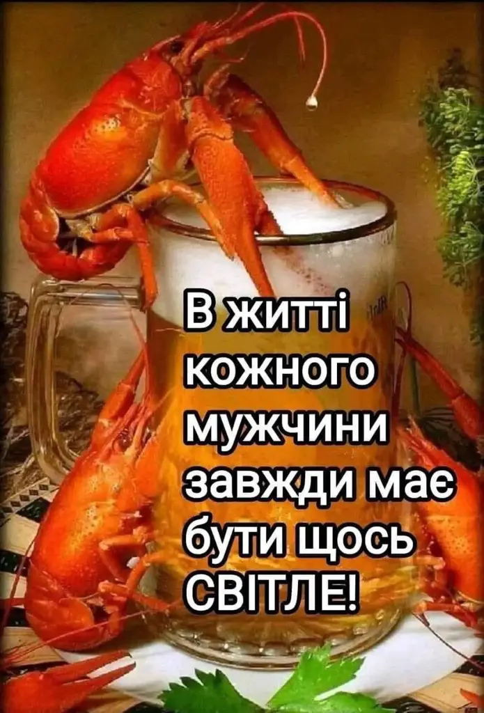 12305.jpg