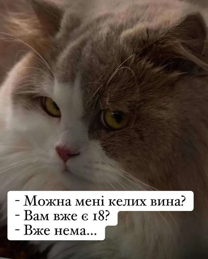 12383.jpg