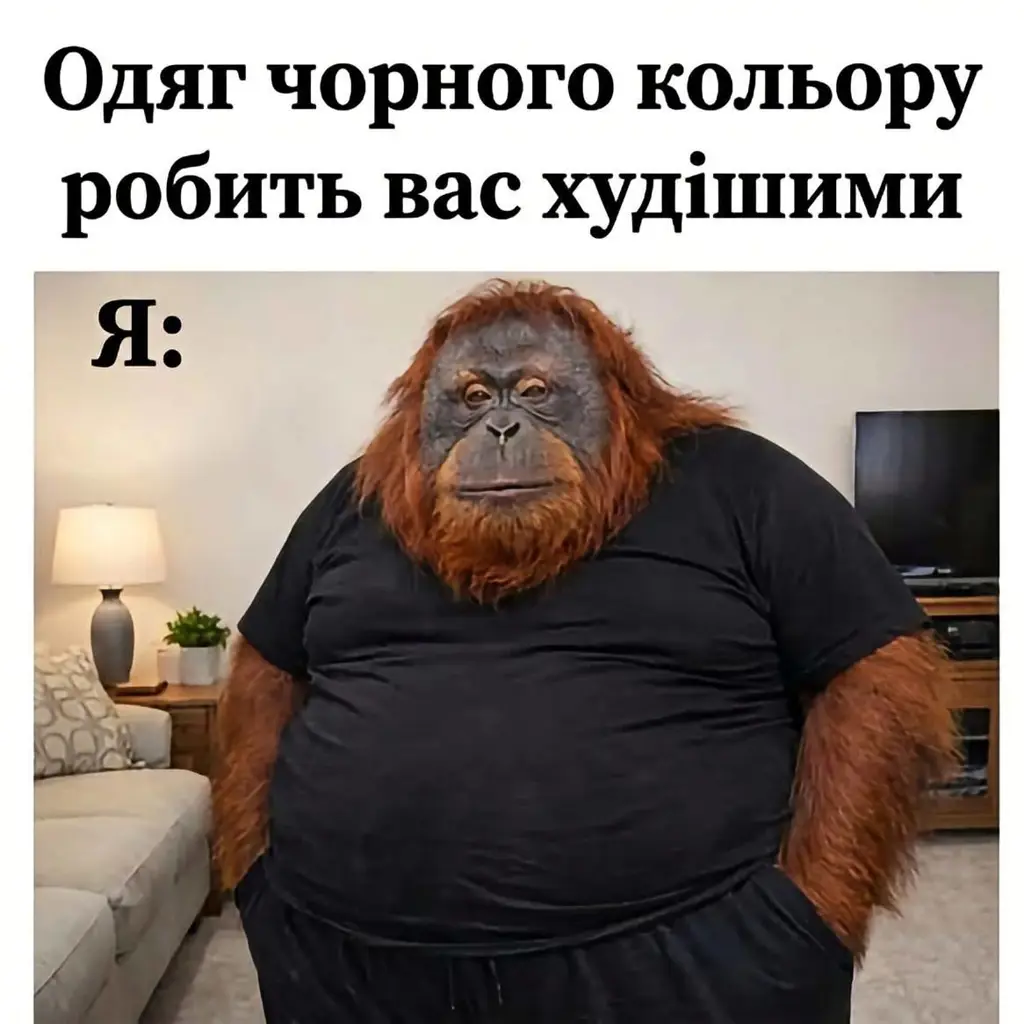 12387.jpg
