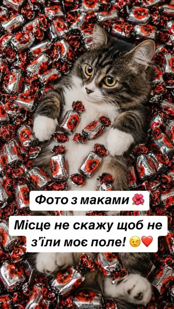 12389.jpg