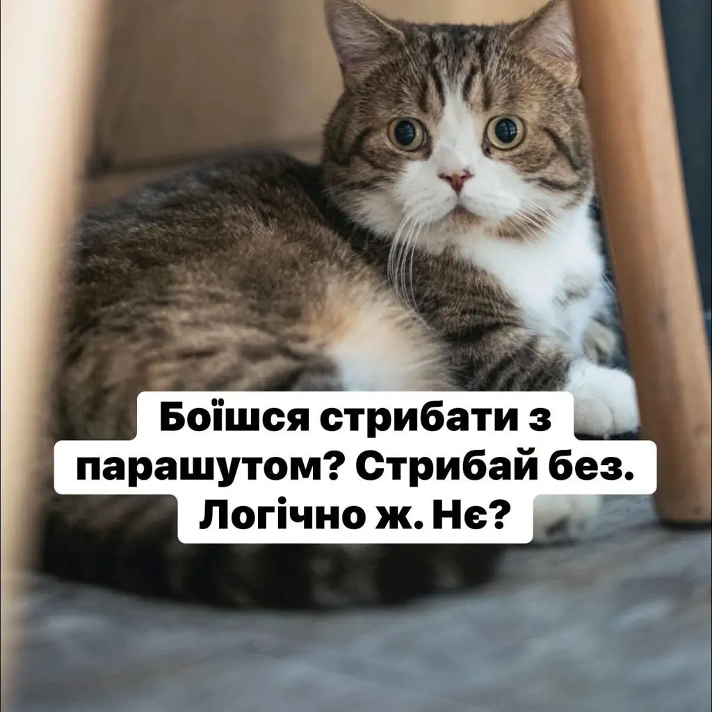 12578.jpg
