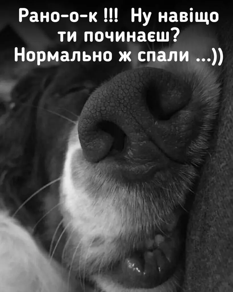 13013.jpg