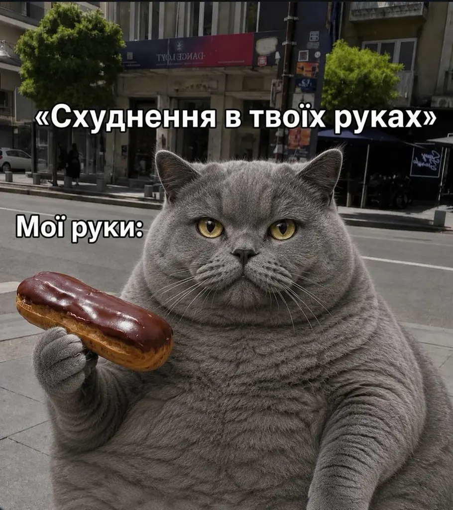 13071.jpg