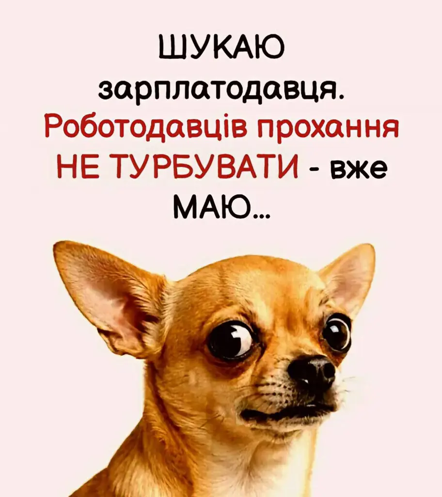 13076.jpg
