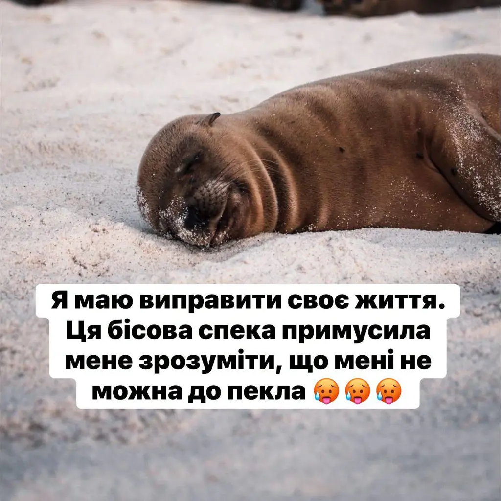 13077.jpg
