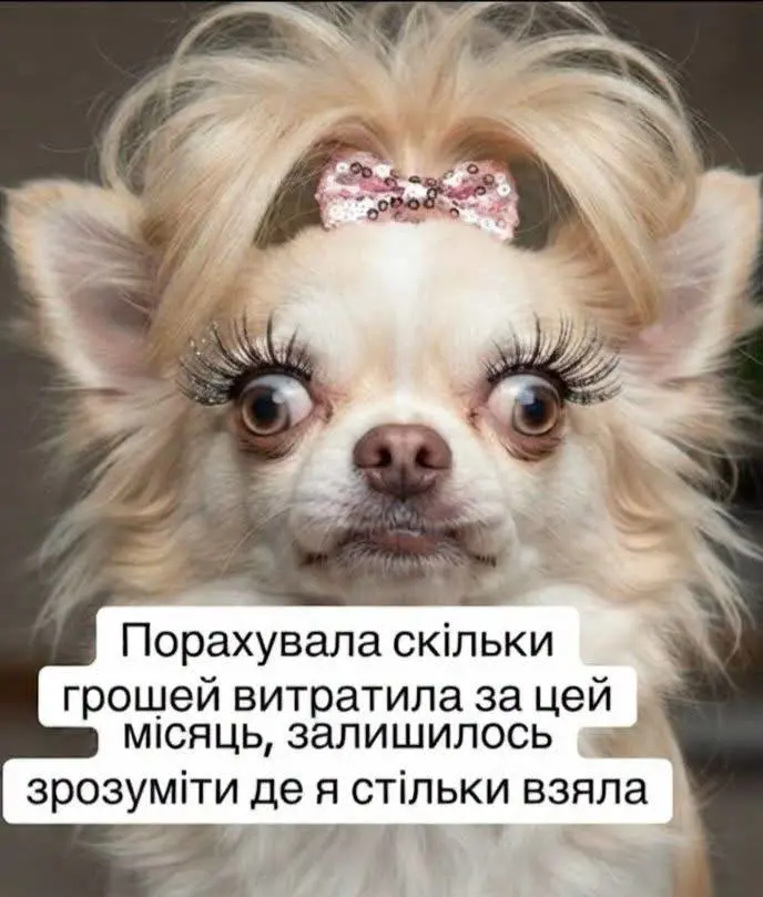 13121.jpg