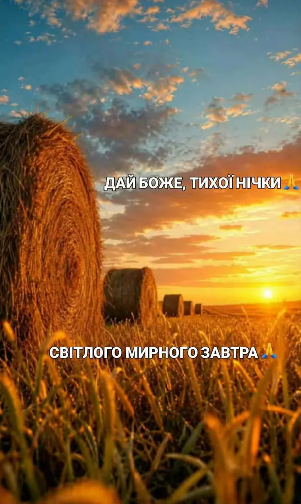 13463.jpg