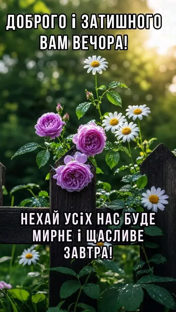13495.jpg