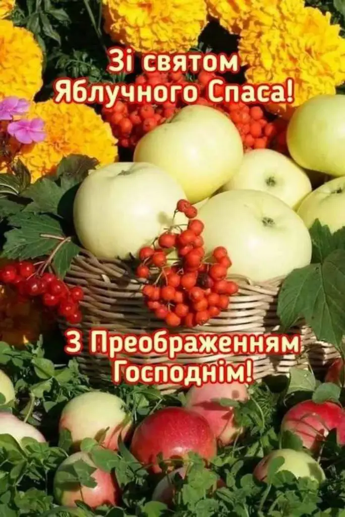 13506.jpg