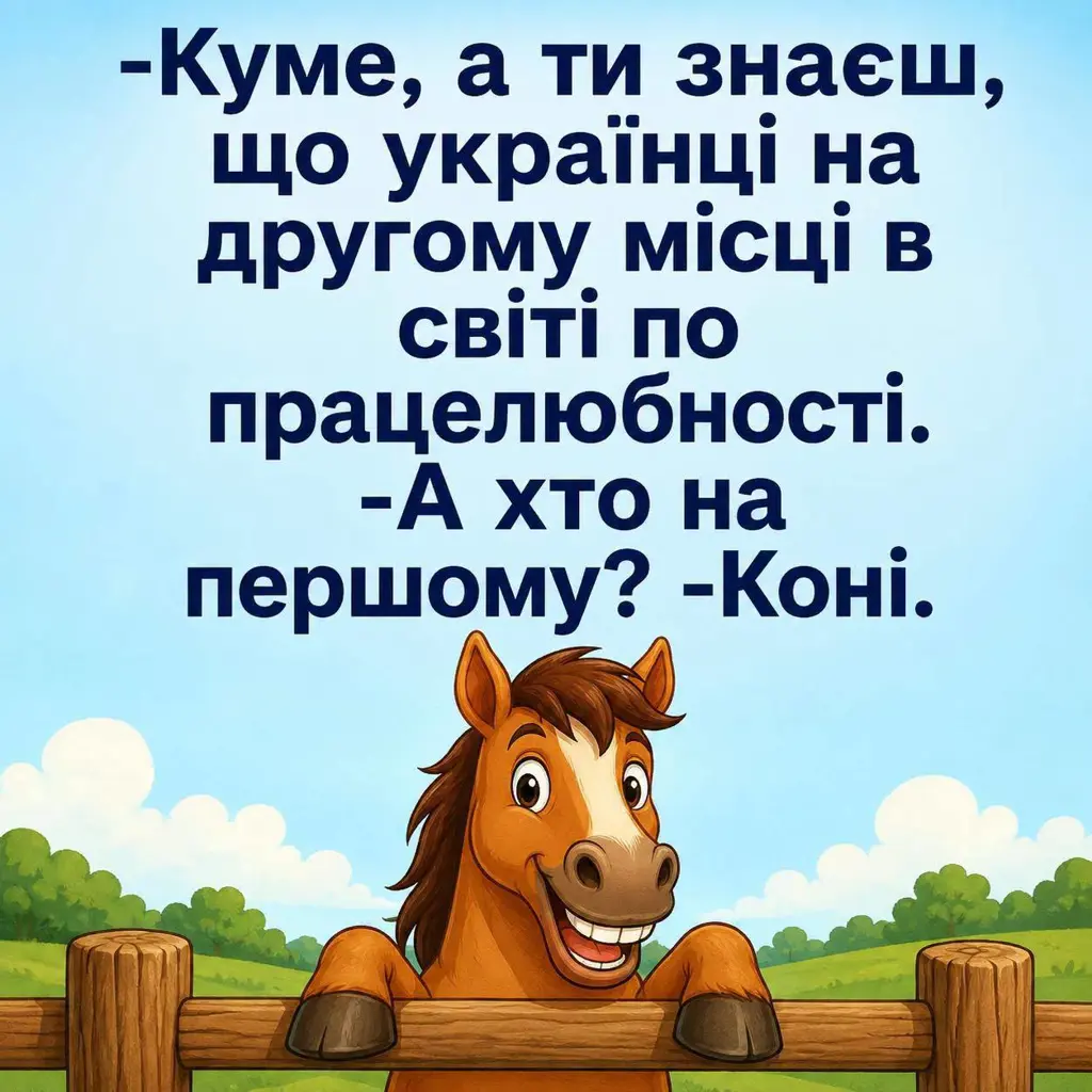 13912.jpg