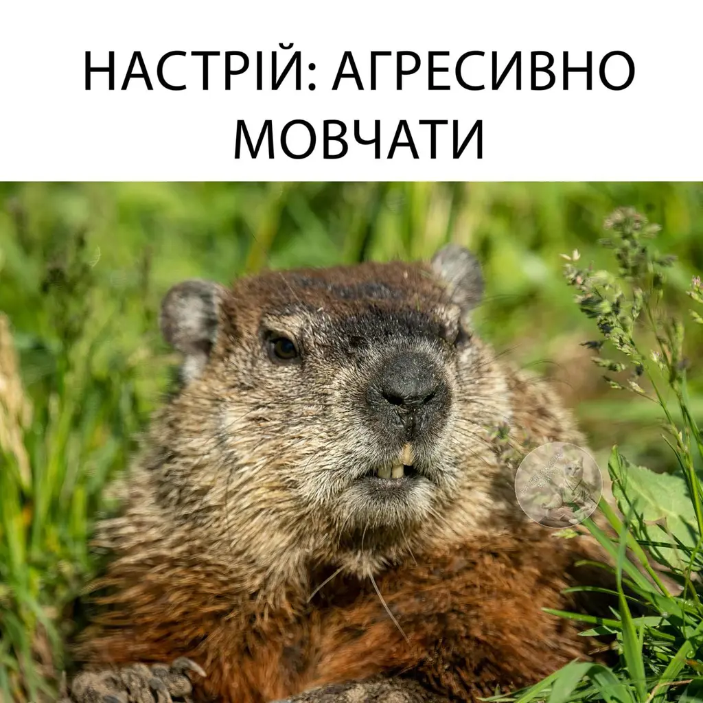 13913.jpg