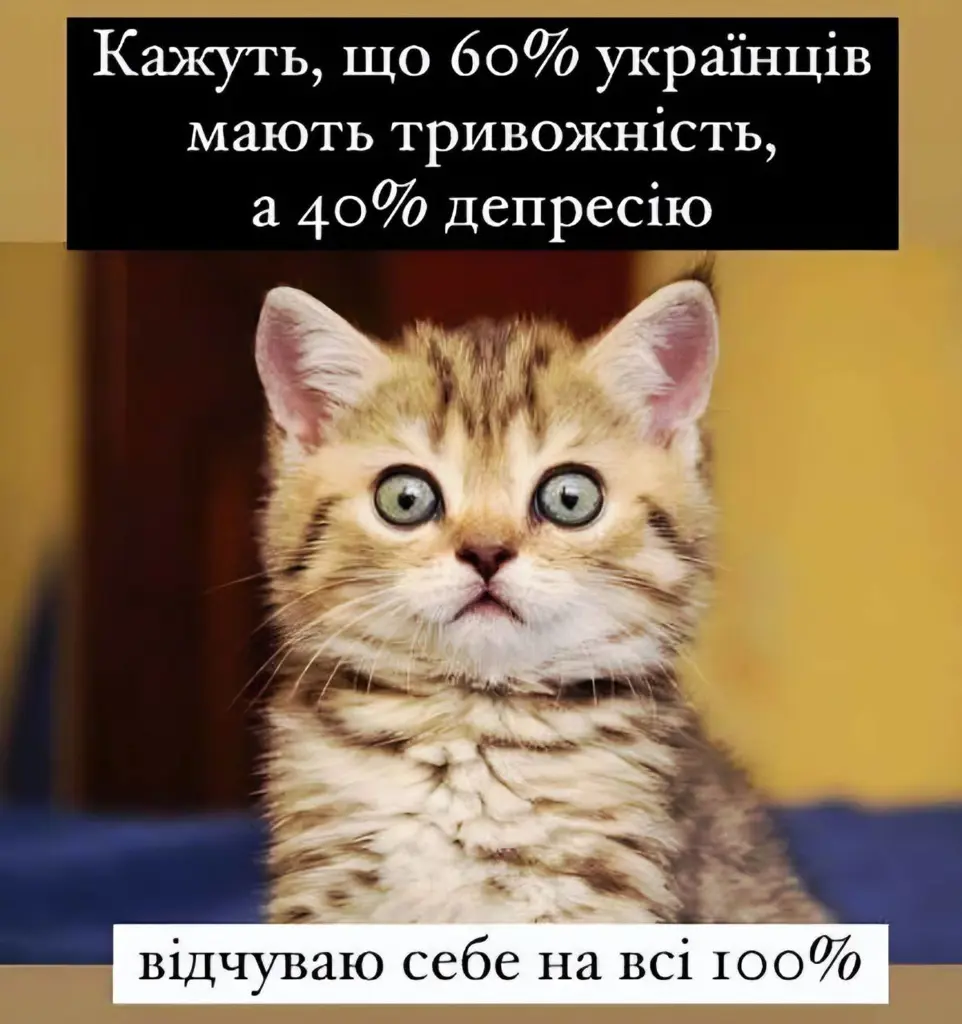 14029.jpg