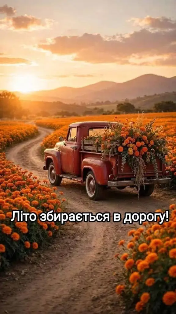 14052.jpg