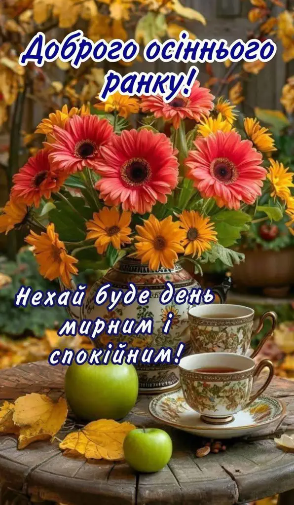14126.jpg