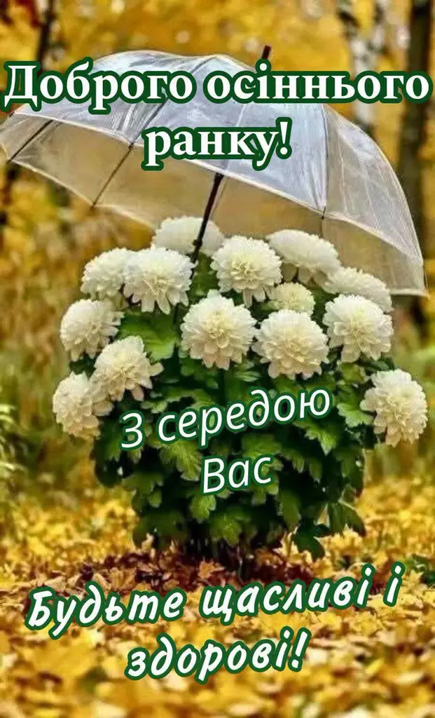 14488.jpg