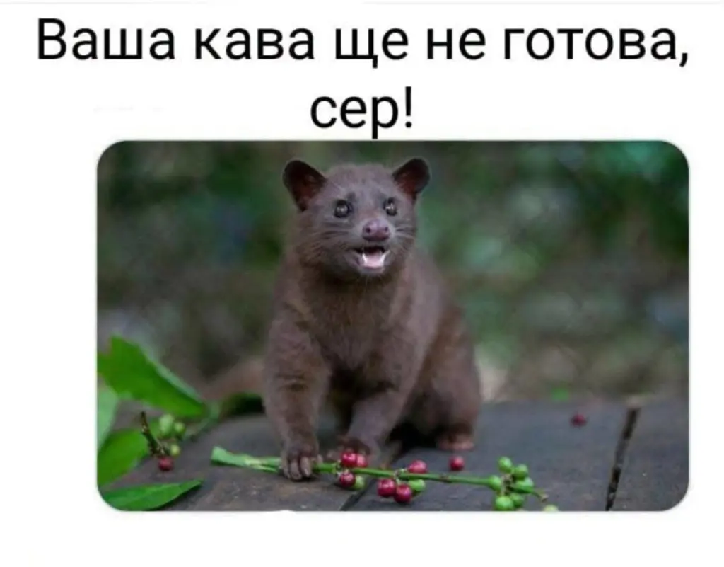 14493.jpg