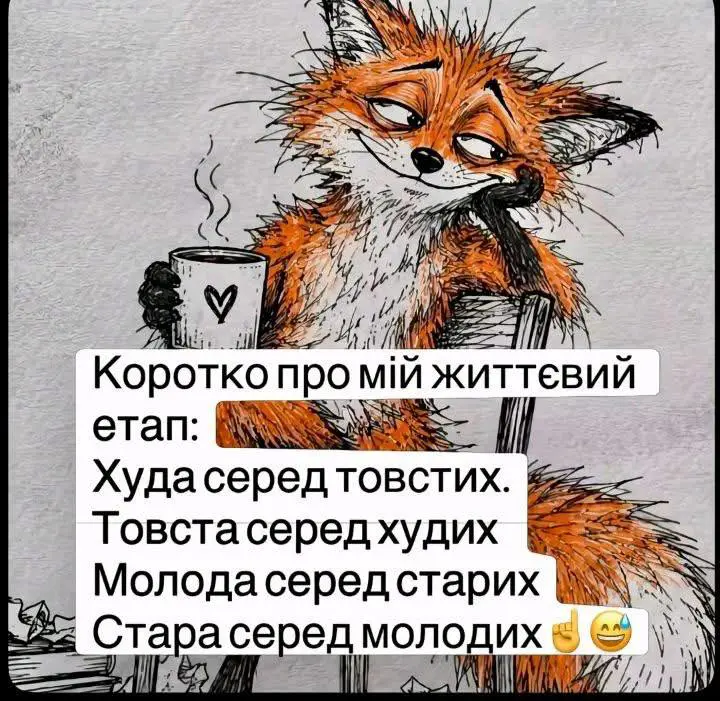 14558.jpg