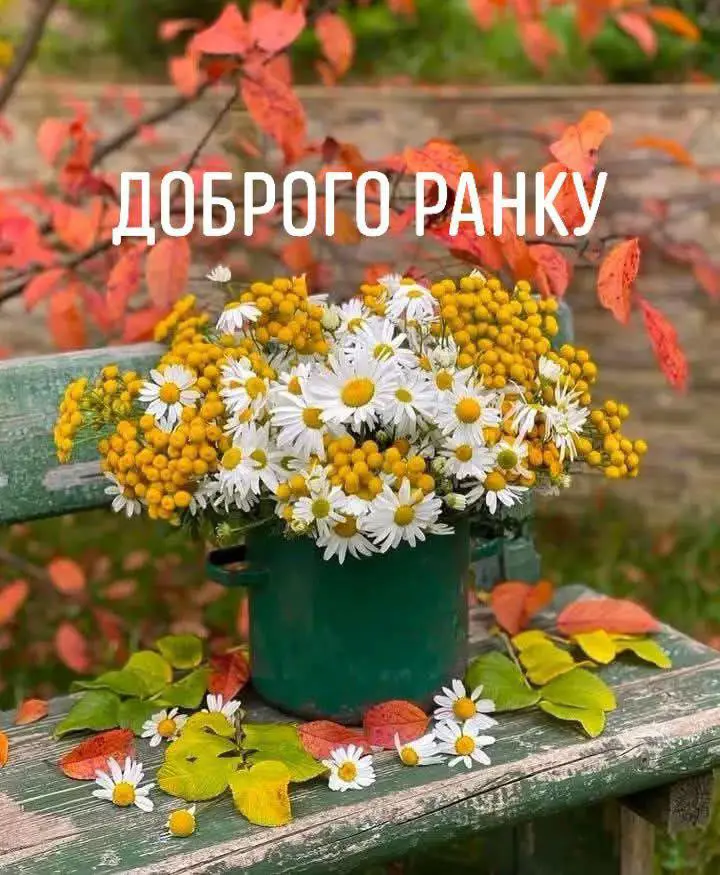 14900.jpg