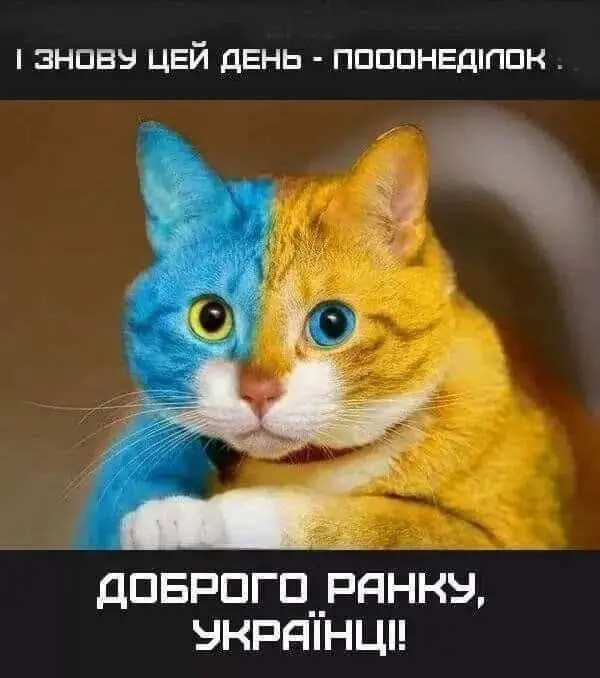 2147.jpg