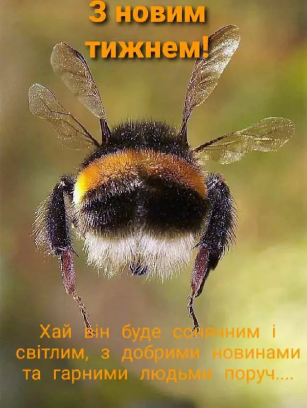 2249.jpg