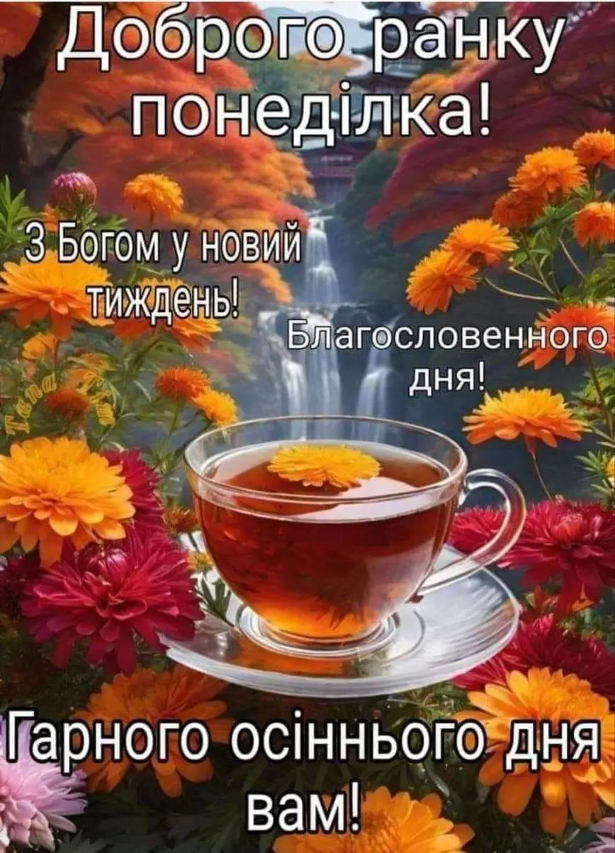 2659.jpg