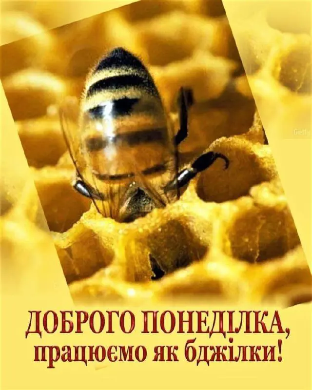 2867.jpg