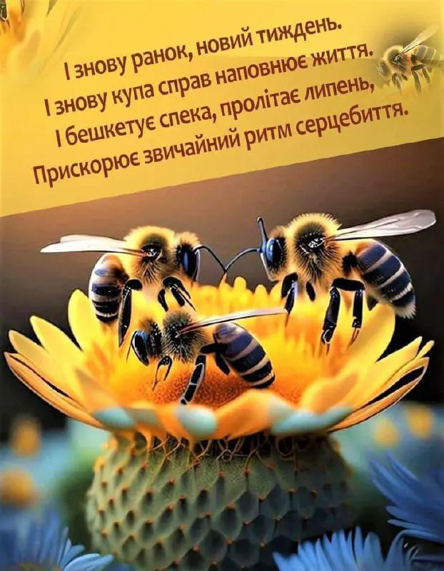 2959.jpg