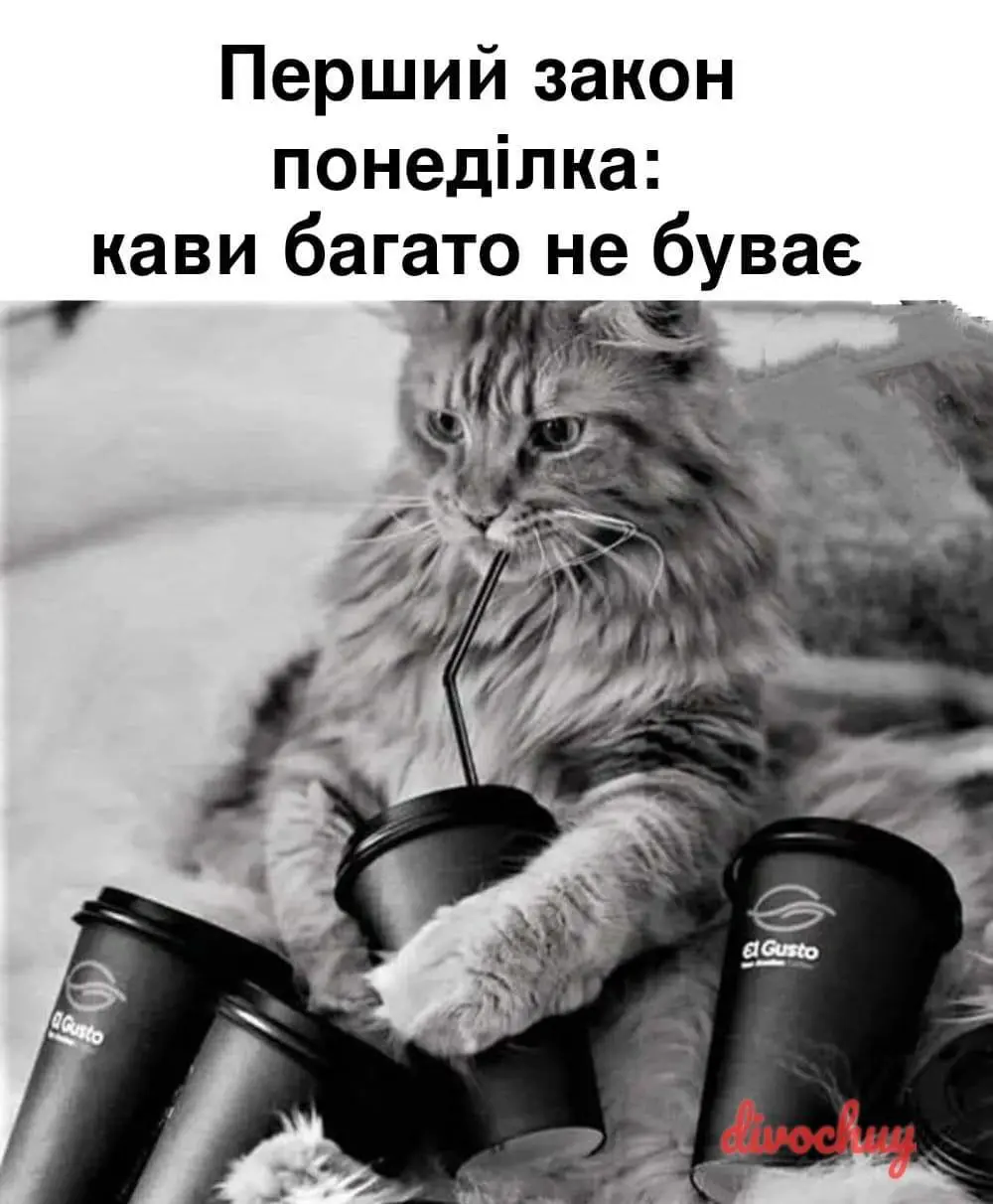 3358.jpg