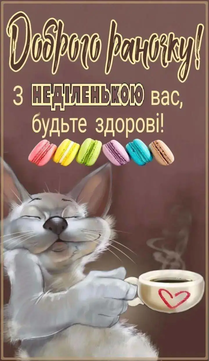 4166.jpg
