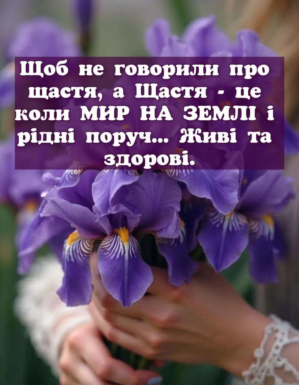 ...