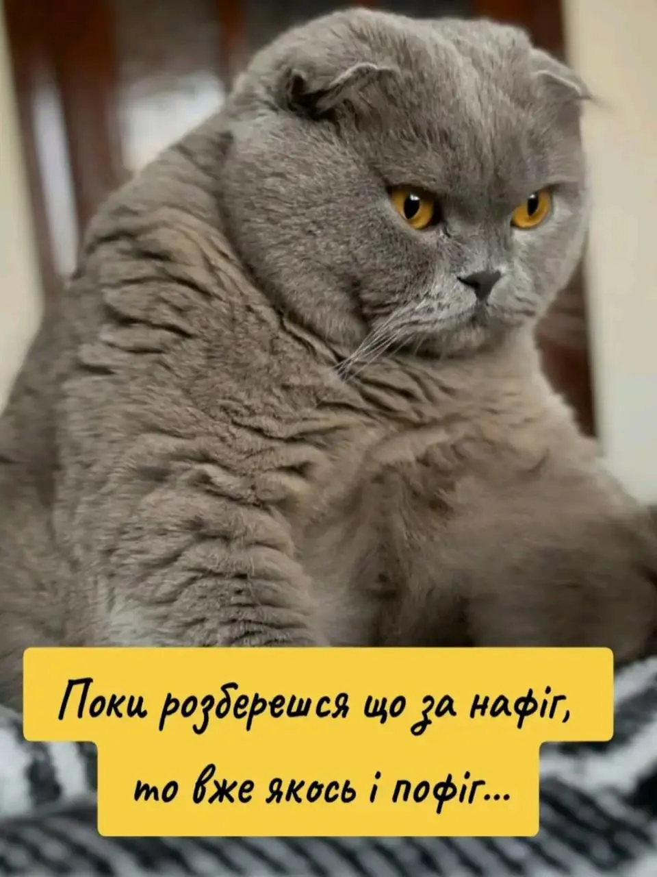 ...