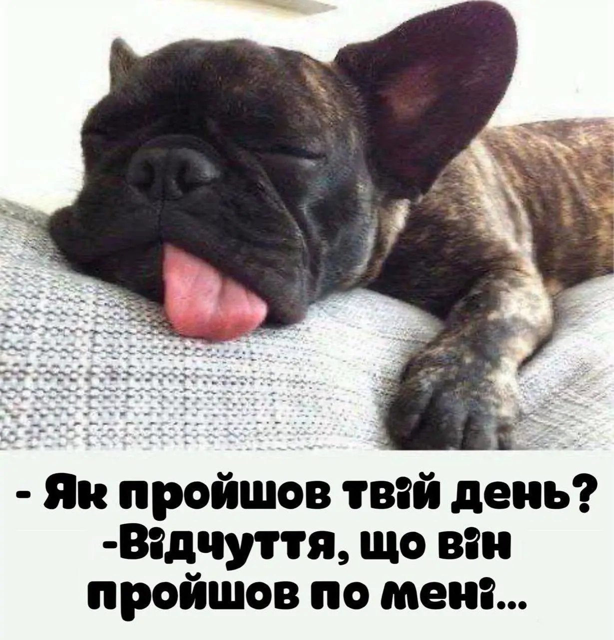 ...