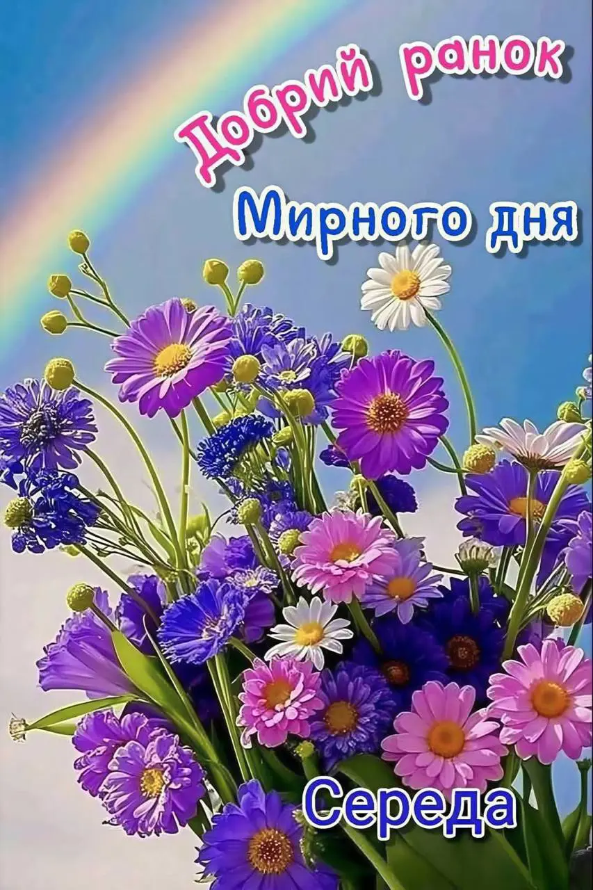 6493.jpg