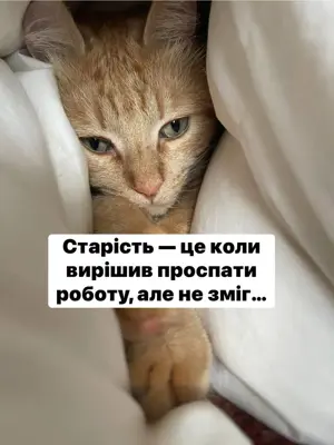 6930.jpg