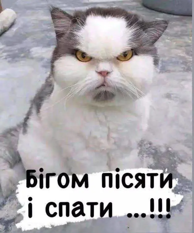 7015.jpg