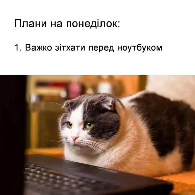 7105.jpg