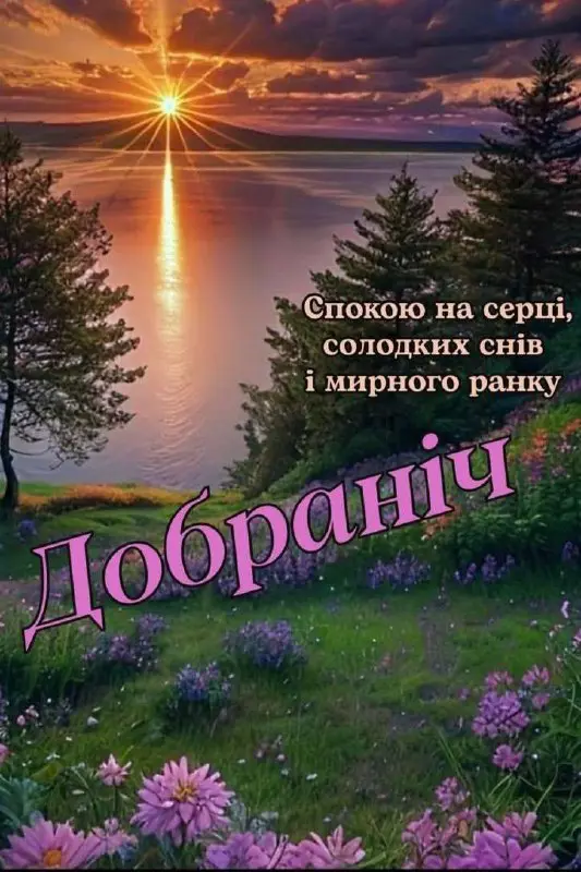 7239.jpg