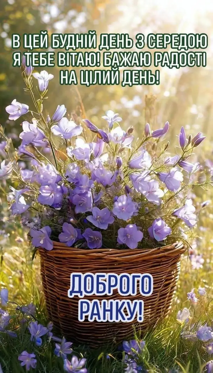 7245.jpg